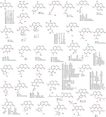 A comprehensive review of the botany, phytochemistry, pharmacology, and toxicology of Murrayae Folium et Cacumen